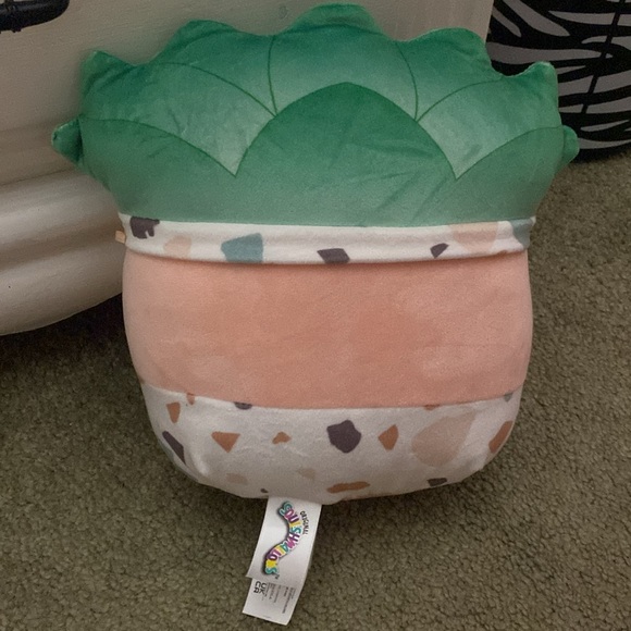 Succulent squishmallow - Picture 4 of 4